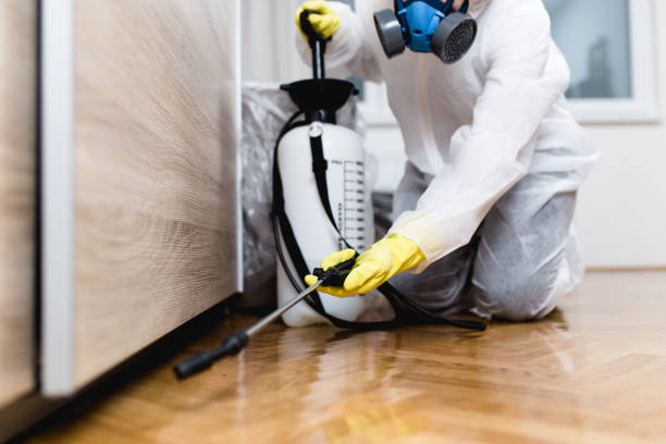 Best Pest Prevention Services  in Pis, AR
