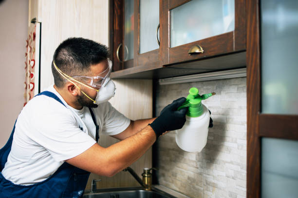 Best Affordable Pest Control Services  in Pis, AR