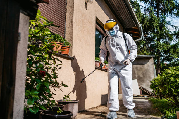 Trusted Paris, AR Pest Control Experts