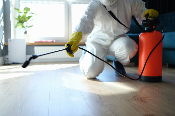 Pest Control for Restaurants in Paris, AR