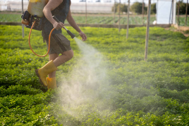 Best Pest Inspection Near Me  in Pis, AR