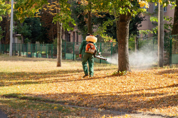 Best Termite Control Services  in Pis, AR